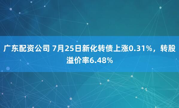广东配资公司 7月25日新化转债上涨0.31%，转股溢价率6.48%